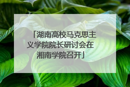 湖南高校马克思主义学院院长研讨会在湘南学院召开