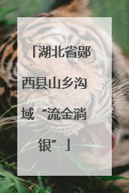 湖北省郧西县山乡沟域“流金淌银”