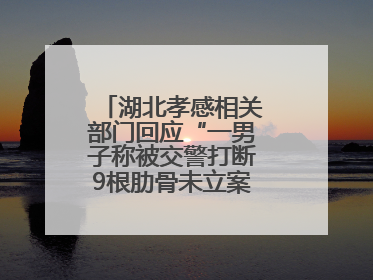 湖北孝感相关部门回应“一男子称被交警打断9根肋骨未立案”：已成立联合专班开展工作