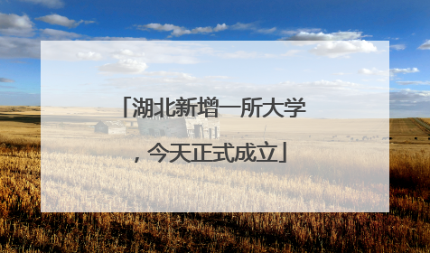 湖北新增一所大学，今天正式成立