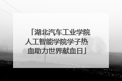 湖北汽车工业学院人工智能学院学子热血助力世界献血日