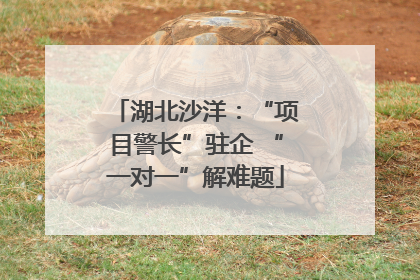 湖北沙洋：“项目警长”驻企 “一对一”解难题