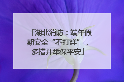 湖北消防：端午假期安全“不打烊”，多措并举保平安