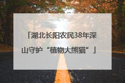 湖北长阳农民38年深山守护“植物大熊猫”