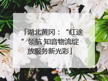 湖北黄冈：“红途”领航 知音物流绽放服务新光彩