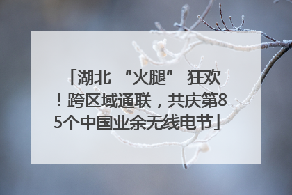 湖北 “火腿” 狂欢！跨区域通联，共庆第85个中国业余无线电节