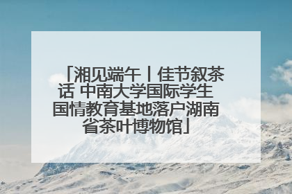 湘见端午丨佳节叙茶话 中南大学国际学生国情教育基地落户湖南省茶叶博物馆
