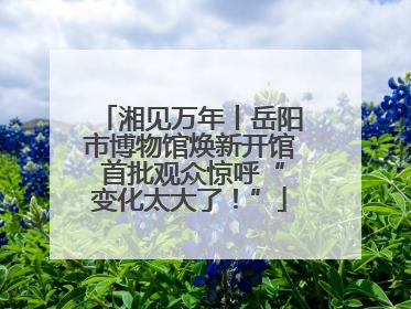 湘见万年丨岳阳市博物馆焕新开馆 首批观众惊呼“变化太大了！”