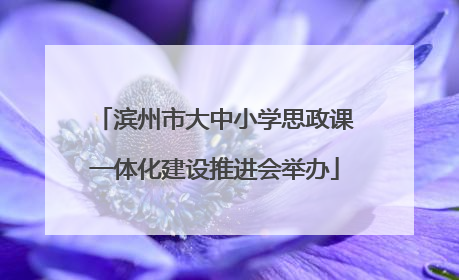 滨州市大中小学思政课一体化建设推进会举办