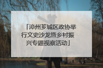 漳州芗城区政协举行文史沙龙暨乡村振兴专题视察活动