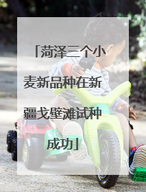 菏泽三个小麦新品种在新疆戈壁滩试种成功