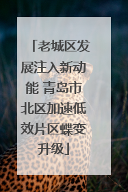 老城区发展注入新动能 青岛市北区加速低效片区蝶变升级