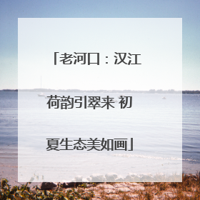 老河口：汉江荷韵引翠来 初夏生态美如画