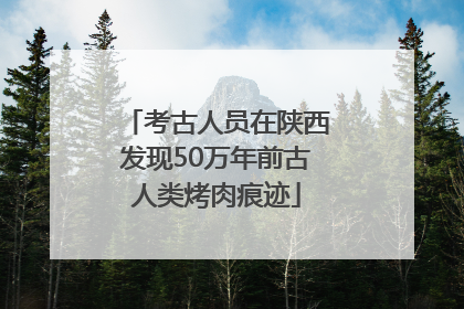 考古人员在陕西发现50万年前古人类烤肉痕迹