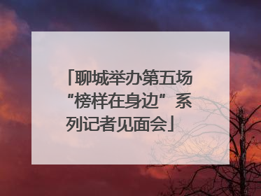 聊城举办第五场“榜样在身边”系列记者见面会