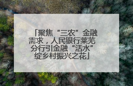聚焦“三农”金融需求，人民银行莱芜分行引金融“活水”绽乡村振兴之花