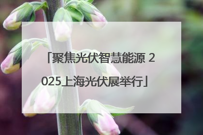 聚焦光伏智慧能源 2025上海光伏展举行