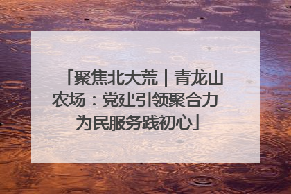聚焦北大荒｜青龙山农场：党建引领聚合力 为民服务践初心