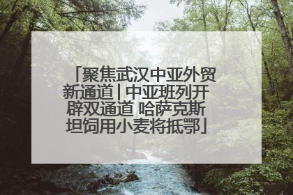 聚焦武汉中亚外贸新通道│中亚班列开辟双通道 哈萨克斯坦饲用小麦将抵鄂