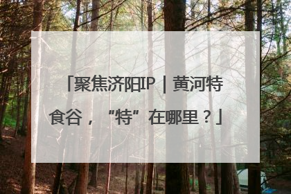 聚焦济阳IP｜黄河特食谷，“特”在哪里？