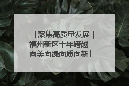 聚焦高质量发展｜福州新区十年跨越 向美向绿向质向新