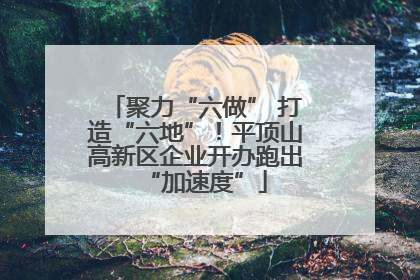 聚力“六做” 打造“六地”！平顶山高新区企业开办跑出“加速度”