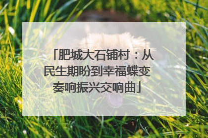肥城大石铺村：从民生期盼到幸福蝶变奏响振兴交响曲