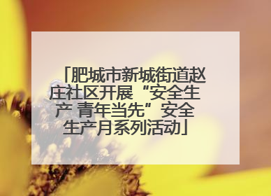 肥城市新城街道赵庄社区开展“安全生产 青年当先”安全生产月系列活动