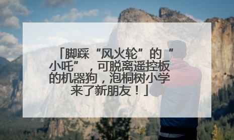 脚踩“风火轮”的“小吒”，可脱离遥控板的机器狗，泡桐树小学来了新朋友！
