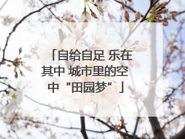 自给自足 乐在其中 城市里的空中“田园梦”