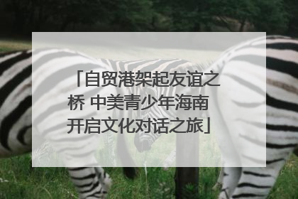 自贸港架起友谊之桥 中美青少年海南开启文化对话之旅