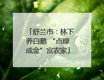 舒兰市：林下养白鹅 “点绿成金”富农家