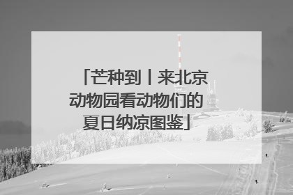 芒种到丨来北京动物园看动物们的夏日纳凉图鉴