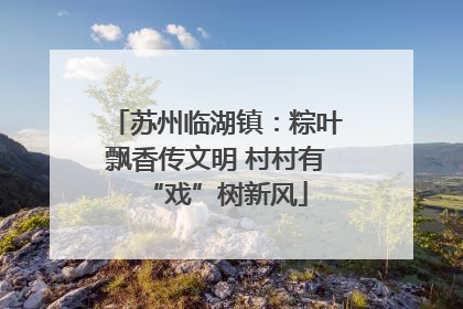 苏州临湖镇：粽叶飘香传文明 村村有“戏”树新风