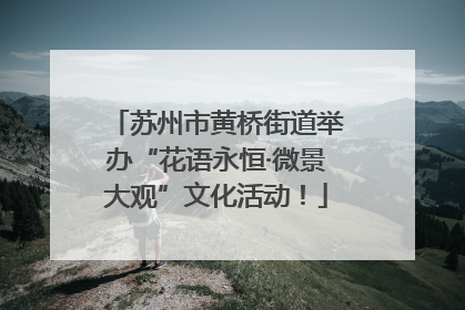苏州市黄桥街道举办“花语永恒·微景大观”文化活动！