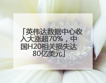 英伟达数据中心收入大涨超70%，中国H20相关损失达80亿美元