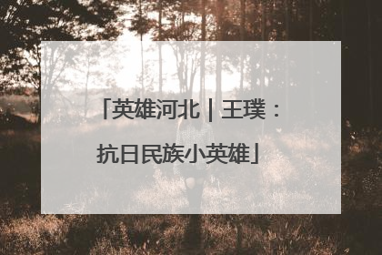 英雄河北｜王璞：抗日民族小英雄