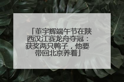 董宇辉端午节在陕西汉江赛龙舟夺冠：获奖两只鸭子，他要带回北京养着