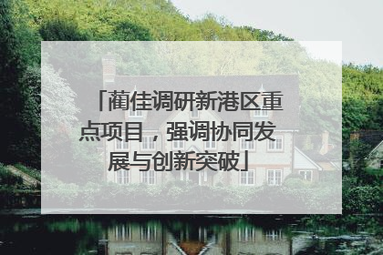 蔺佳调研新港区重点项目，强调协同发展与创新突破