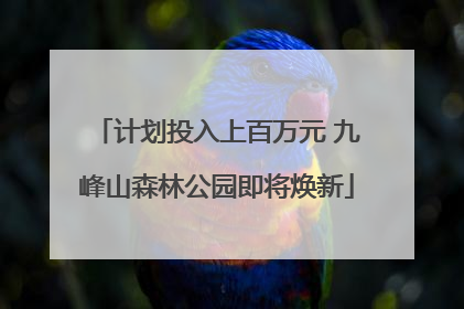 计划投入上百万元 九峰山森林公园即将焕新