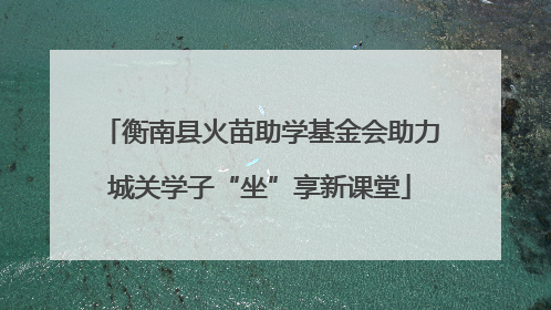 衡南县火苗助学基金会助力城关学子“坐”享新课堂