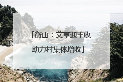衡山：艾草迎丰收 助力村集体增收
