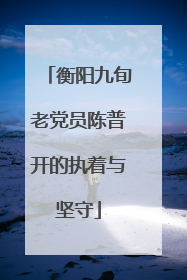 衡阳九旬老党员陈普开的执着与坚守