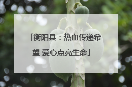 衡阳县：热血传递希望 爱心点亮生命