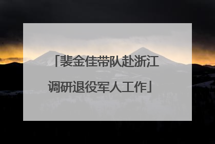 裴金佳带队赴浙江调研退役军人工作
