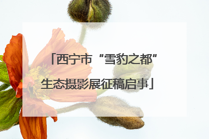 西宁市“雪豹之都”生态摄影展征稿启事