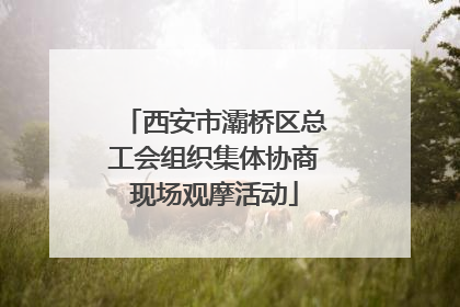 西安市灞桥区总工会组织集体协商现场观摩活动