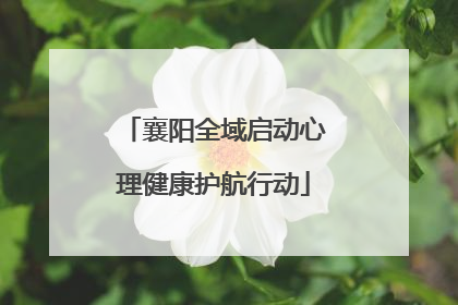 襄阳全域启动心理健康护航行动