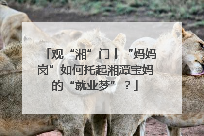 观“湘”门丨“妈妈岗”如何托起湘潭宝妈的“就业梦”？
