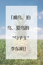 观鸟、拍鸟、爱鸟的“勺子王”李东明